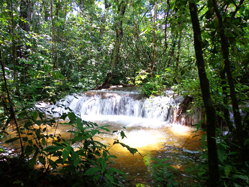 viaje por chiapas, viajandoconarturo.com