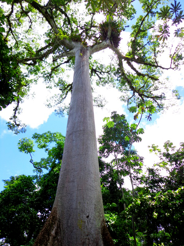 viaje por chiapas, viajandoconarturo.com