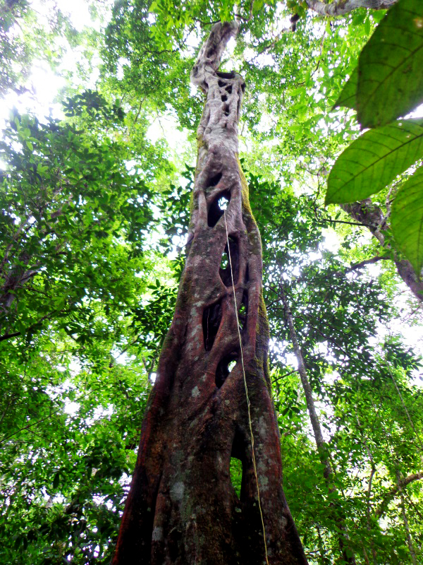 viaje por chiapas, viajandoconarturo.com