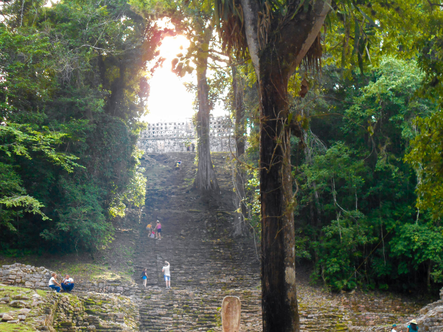 flora y fauna de yaxchilan chiapas – Viajando con Arturo